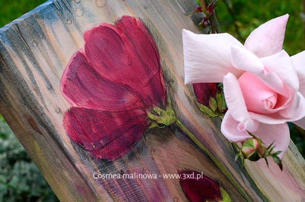 Cosmea malinowa - malowana na drewnie - podziękowania dla Rodziców