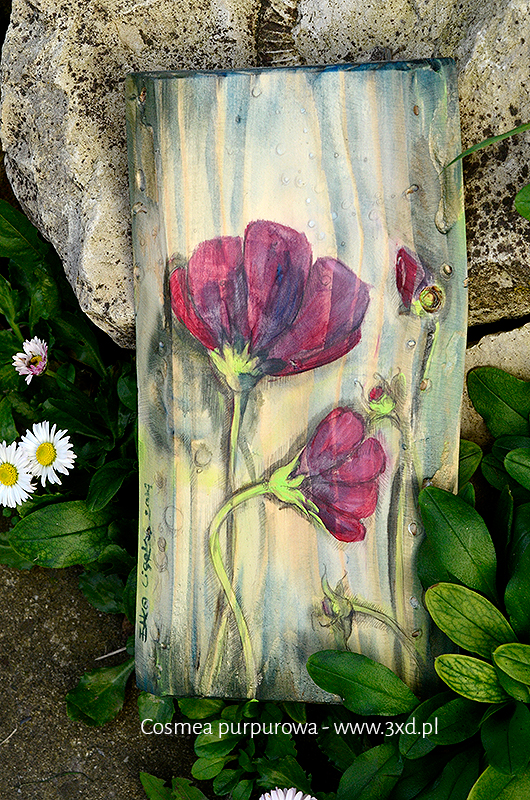 Cosmea purpurowa - malowana na drewnie